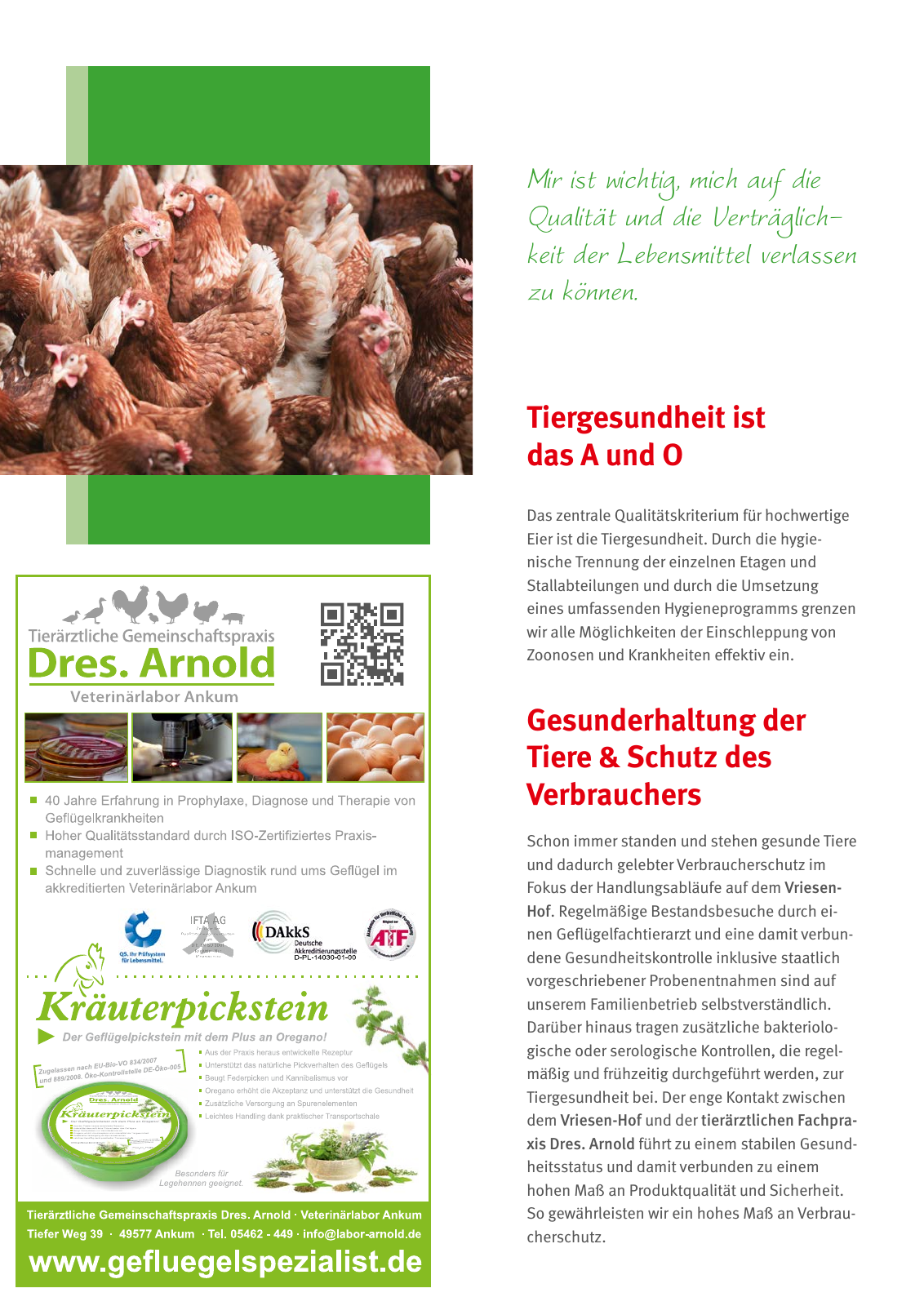 Vorschau Dietrich Vriesen GmbH & Co.KG Seite 10